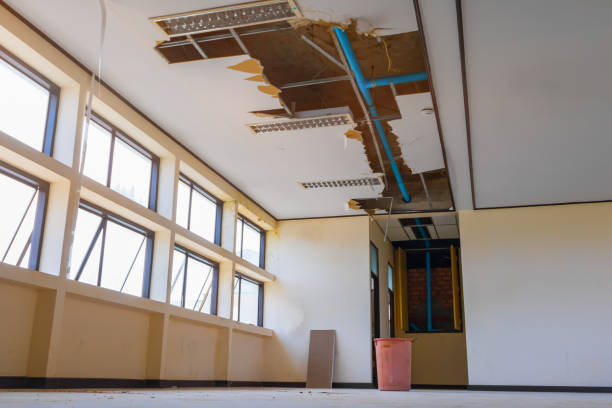 Best Mold removal after water damage  in Lilburn, GA