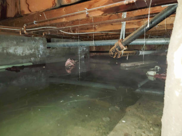 Best Basement water damage restoration  in Lilburn, GA