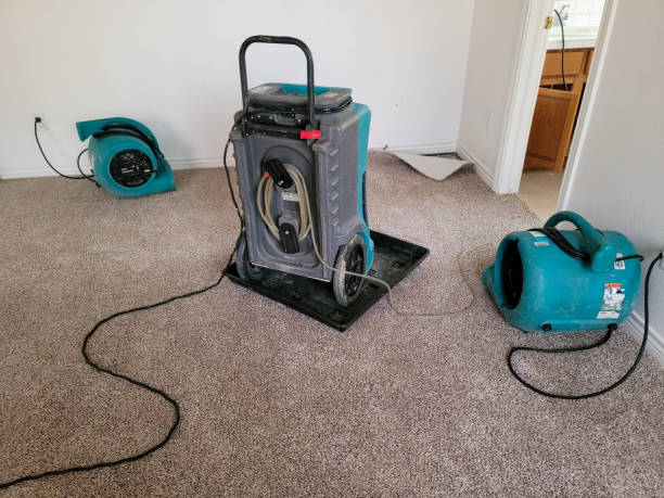 Best Water damage restoration mold remediation  in Lilburn, GA