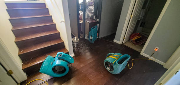 Best Carpet water damage restoration  in Lilburn, GA