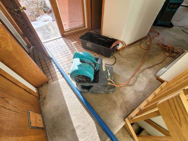 Best Carpet water damage restoration  in Lilburn, GA