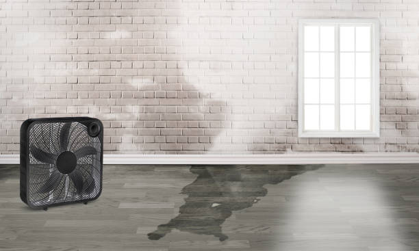  Lilburn, GA Water damage restoration Pros