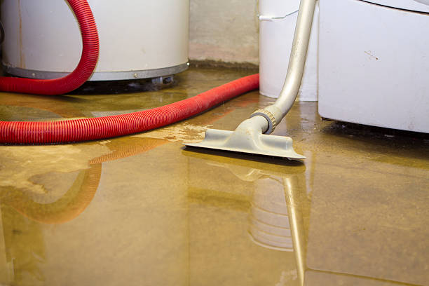 Best Water damage contractors near me  in Lilburn, GA