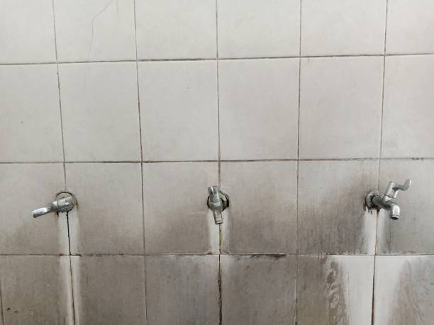 Best Mold removal after water damage  in Lilburn, GA
